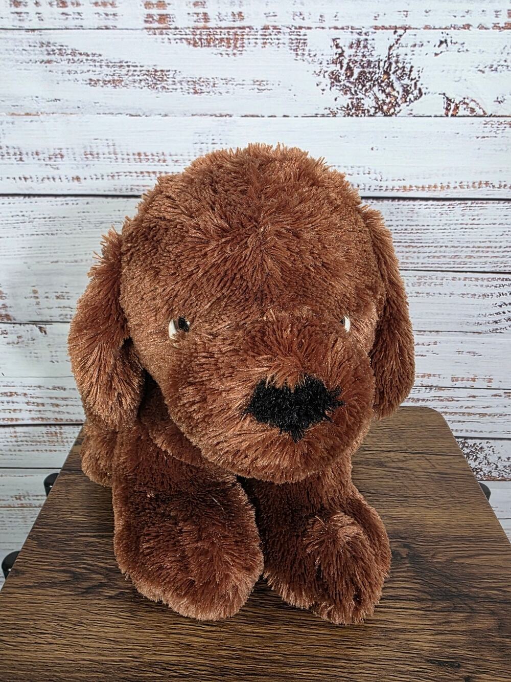 VTG Chosun International Brown Soft puppy